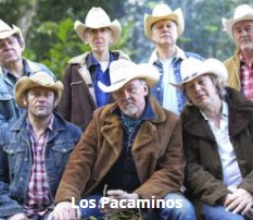 Los Pacaminos