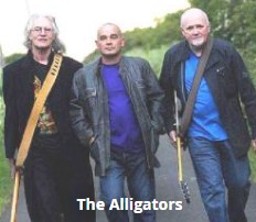The Alligators